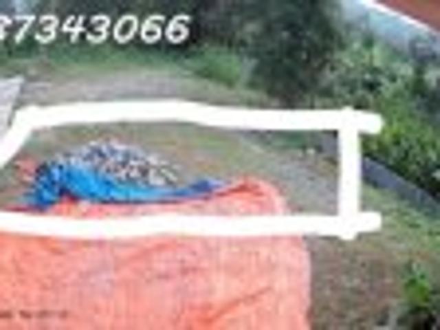 Bất động sản bán tại Quảng Trị