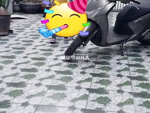 Nhà bán tại Cty dịch vụ thương mại tổng hợp cảng Hải Phòng, Thành phố Hải Phòng