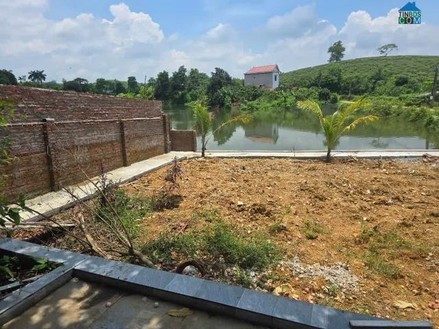 Nhà mặt phố bán
