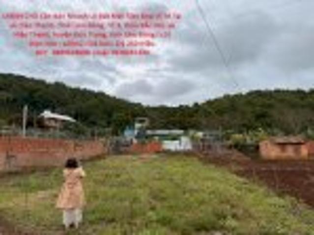 Bất động sản bán tại Tuyên Quang