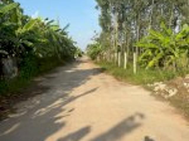 Bất động sản bán tại Hồ Chí Minh