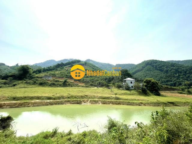 Mặt bằng bán