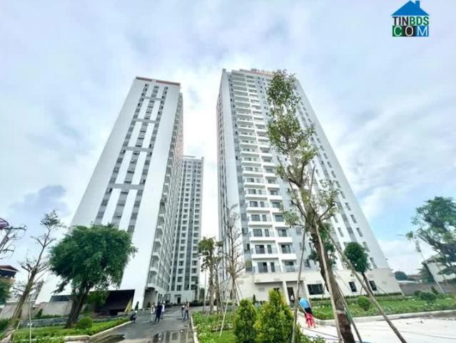 Căn hộ cho thuê tại Gia Lai