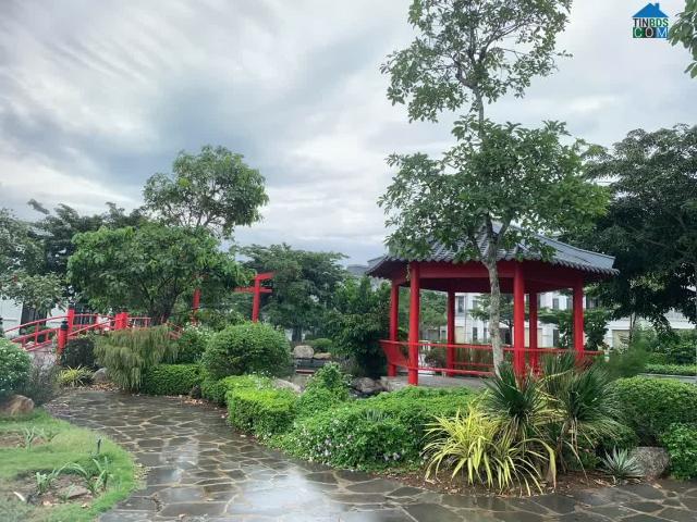 Nhà mặt phố cho thuê