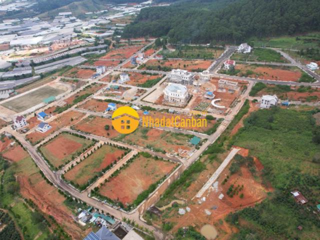 Biệt Thự bán