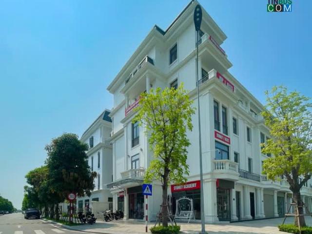Nhà mặt phố cho thuê