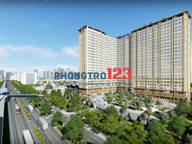 Bất động sản cho thuê tại Hồ Chí Minh