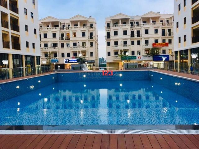 Bất động sản cho thuê tại Gò Vấp, Hồ Chí Minh