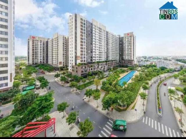 Căn hộ cho thuê tại Thủ Đức, Hồ Chí Minh