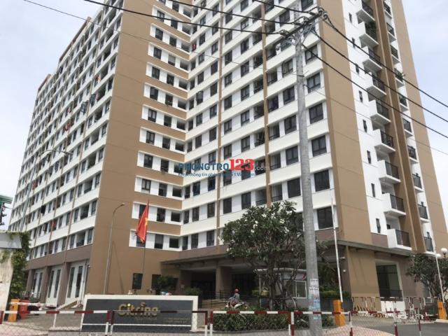 Bất động sản cho thuê tại Hồ Chí Minh