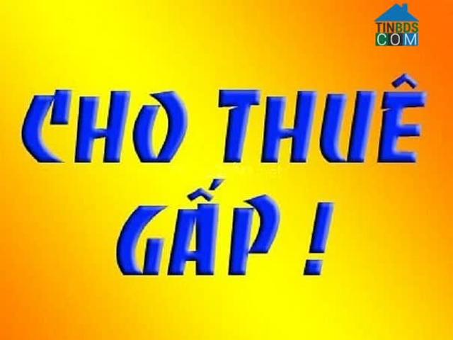 Nhà cho thuê tại Thủ Đức, Hồ Chí Minh