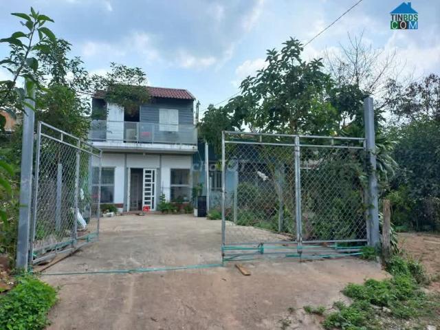 Nhà cho thuê