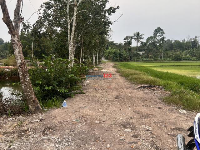 Bất động sản cho thuê tại Hồ Chí Minh