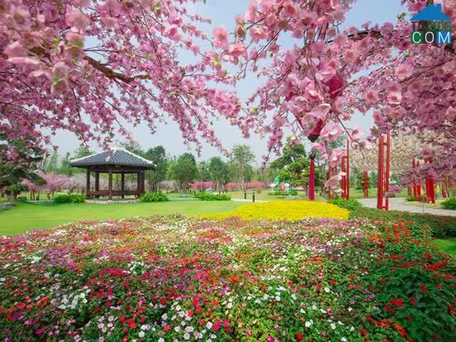 Căn hộ bán tại Hoàn Kiếm, Hà Nội