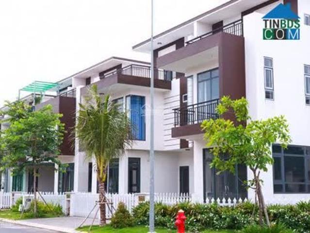 Biệt Thự bán