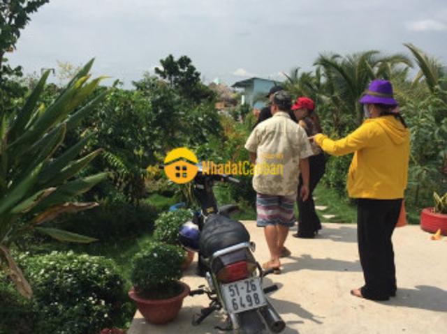 Mặt bằng bán