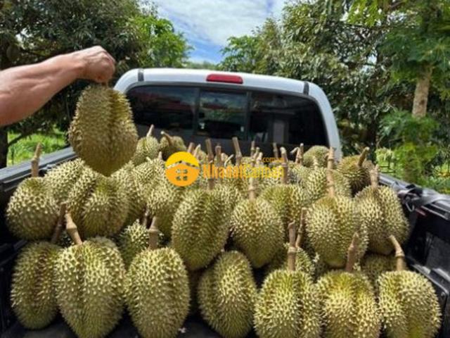 Mặt bằng bán