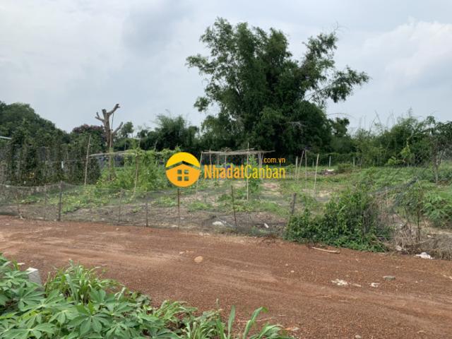 Mặt bằng bán