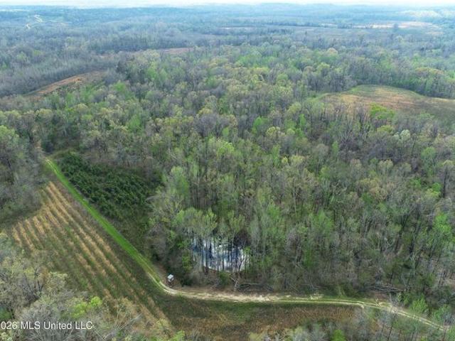 Land for sale in Lexington, Mississippi