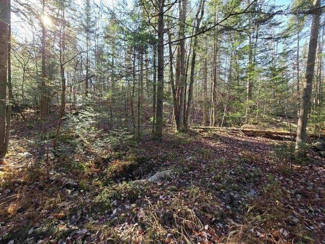 Land for sale in Milan, Coös County