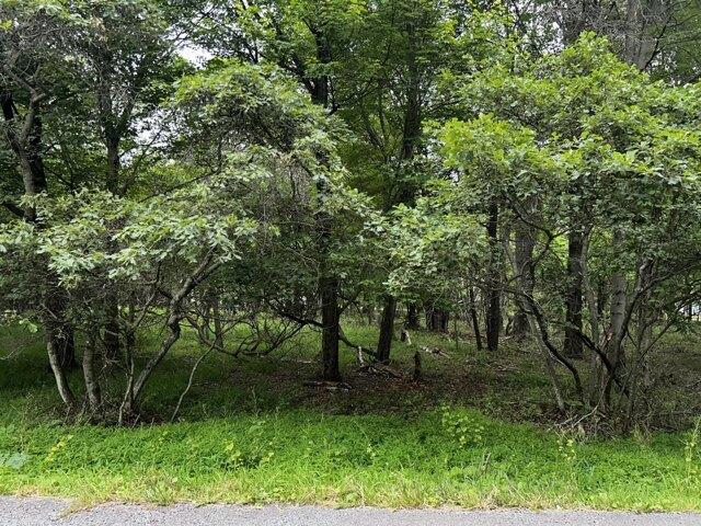 Land for sale in Albrightsville