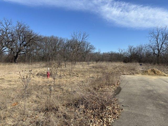 Land for sale in Whiteside, Illinois