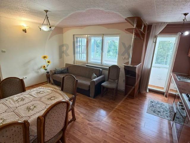 Apartament închirieri în Baia Mare, Maramureș