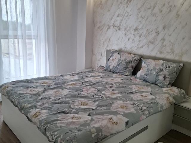 Apartament închirieri în Baia Mare, Maramureș