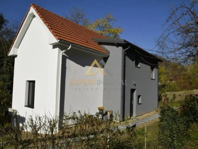 Casă închirieri în Progresul, Baia Mare