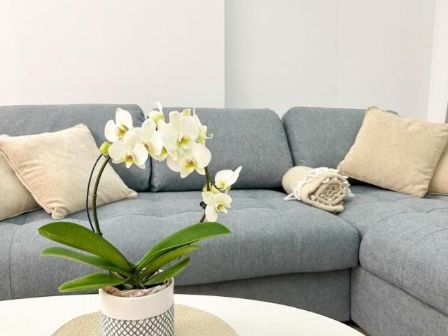Apartament închirieri în Voluntari, București