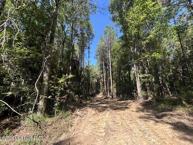 Land for sale in Summit, Mississippi