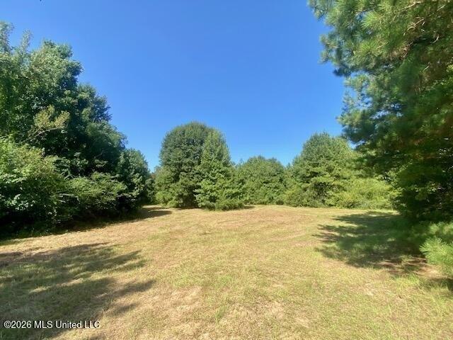 Land for sale in Summit, Mississippi