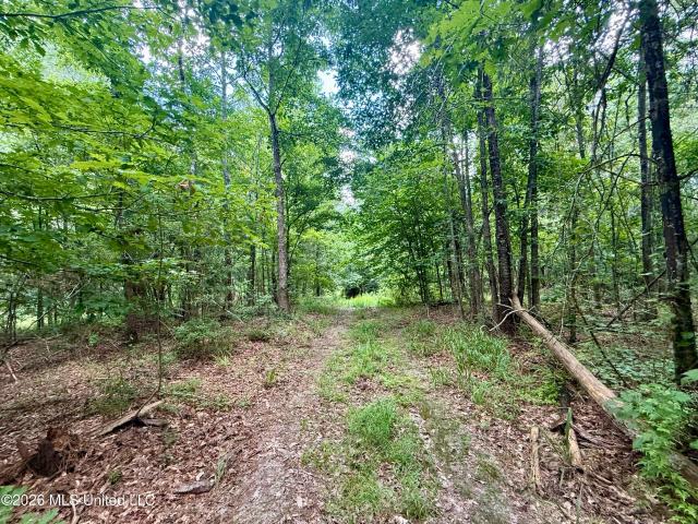 Land for sale in Mississippi