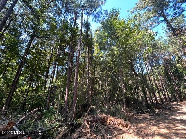 Land for sale in Summit, Mississippi