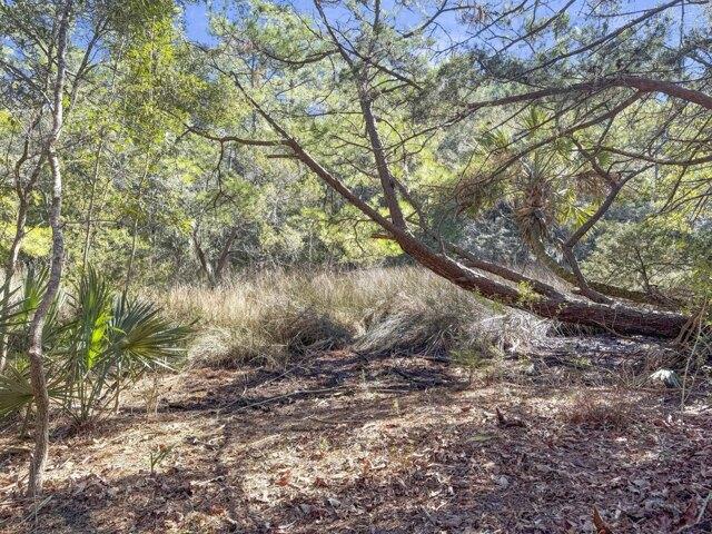 Land for sale in Johns Island