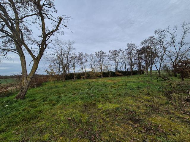 Terrain vente à Romorantin-Lanthenay, Chissay-en-touraine