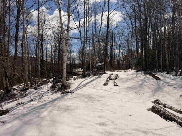 Land for sale in Chittenden, Vermont