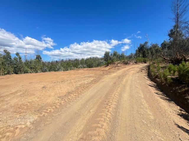 Casa en venta en Nacimiento, Biobío