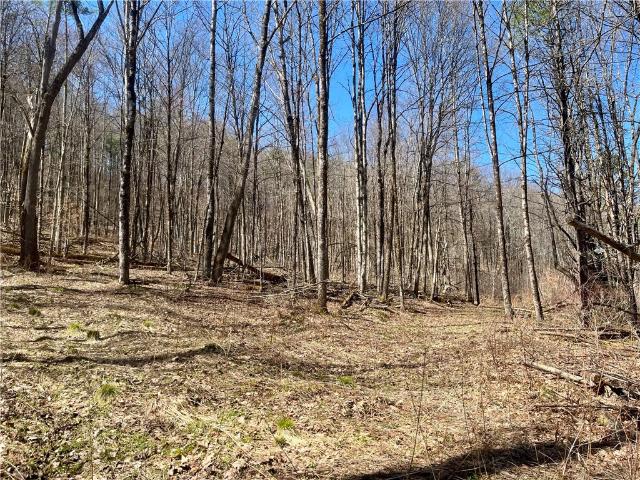 Land for sale in Hartwick, New York