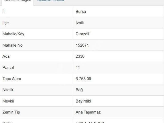 İznik, Bursa içerisinde satılık mülk