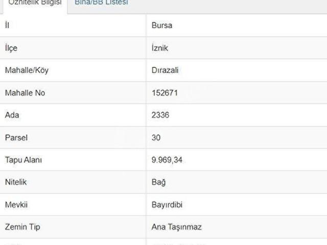 İznik, Bursa içerisinde satılık mülk