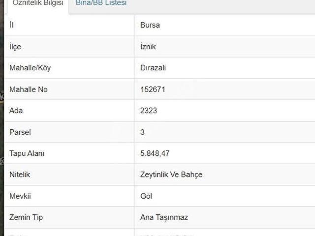 İznik, Bursa içerisinde satılık mülk