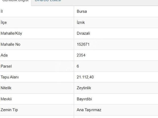İznik, Bursa içerisinde satılık mülk