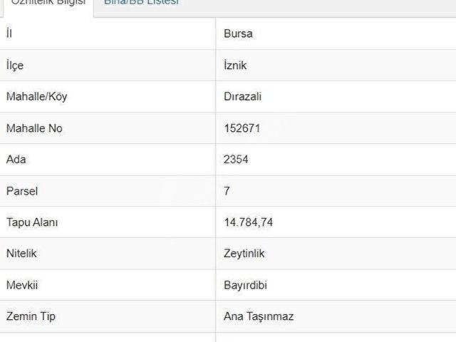 İznik, Bursa içerisinde satılık mülk