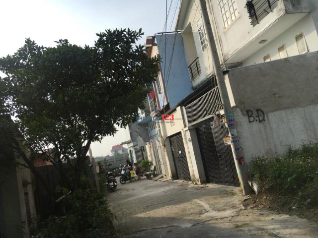 Bất động sản cho thuê tại Thủ Đức, Hồ Chí Minh