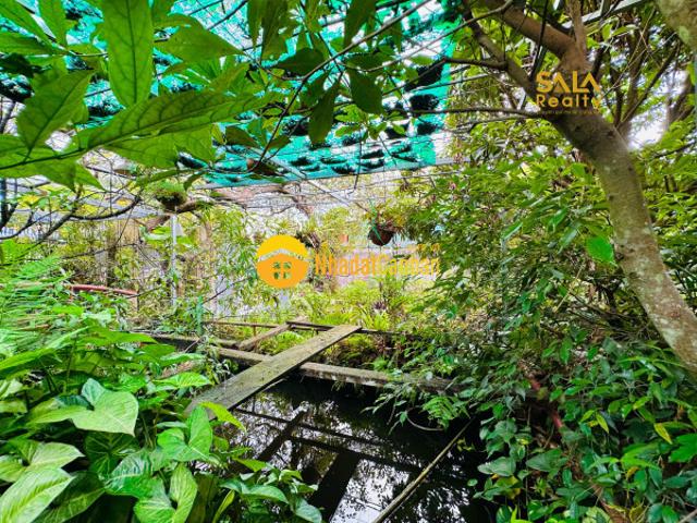 Nhà mặt phố cho thuê tại Buôn Hồ, Đắk Lắk