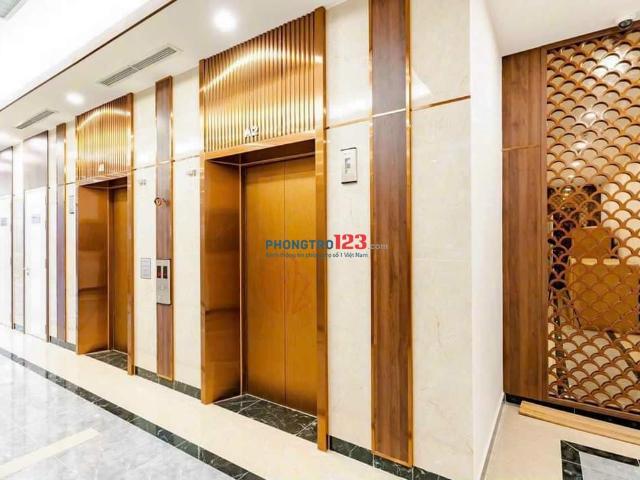 Bất động sản cho thuê tại Thủ Đức, Hồ Chí Minh
