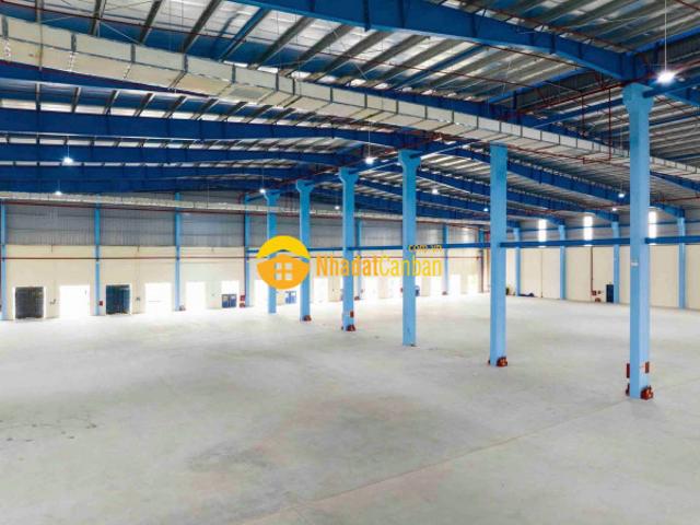 Kho xưởng cho thuê