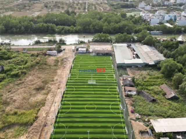 Bất động sản cho thuê