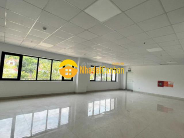 Biệt Thự cho thuê